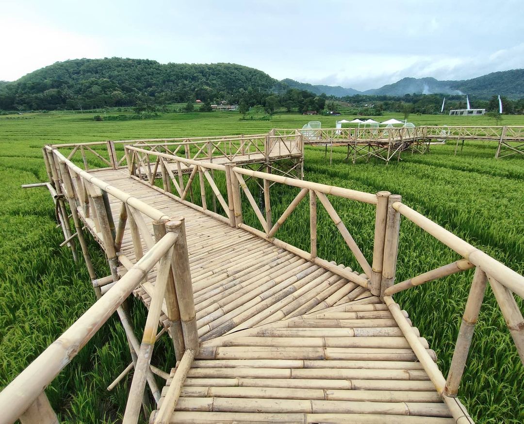 Menoreh Sky Bridge Kulon Progo Review Lokasi Tiket Masuk Travelandword