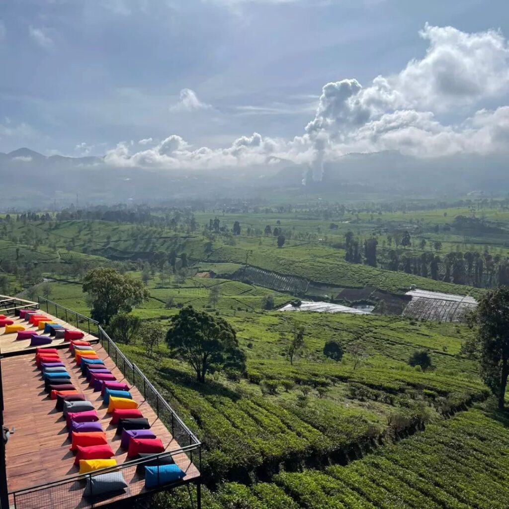 Nimo Highland Pengalengan Bandung Ini Lokasi Harga Tiket Masuknya