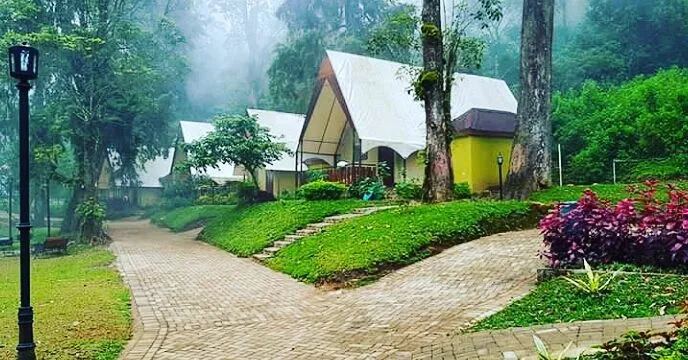 lawu forest camp