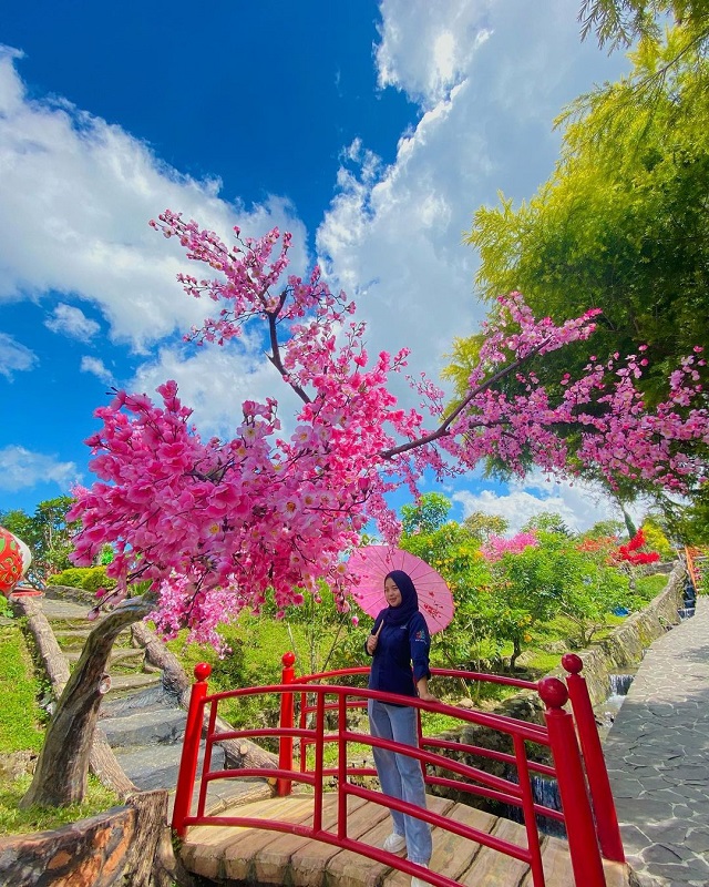 taman sakura di villa khayangan (foto via ig villa_khayangan_bogor)