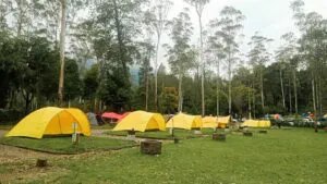 camping ranca upas ciwidey bandung