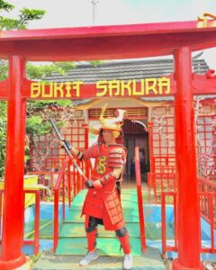 wisata bukit sakura lampung