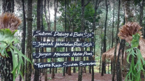 bukit salju ngetos