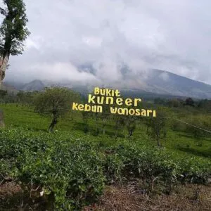 via bukit_kuneer