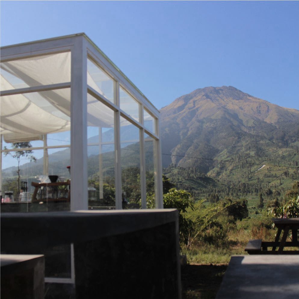 kopi kaki bumi kledung temanggung