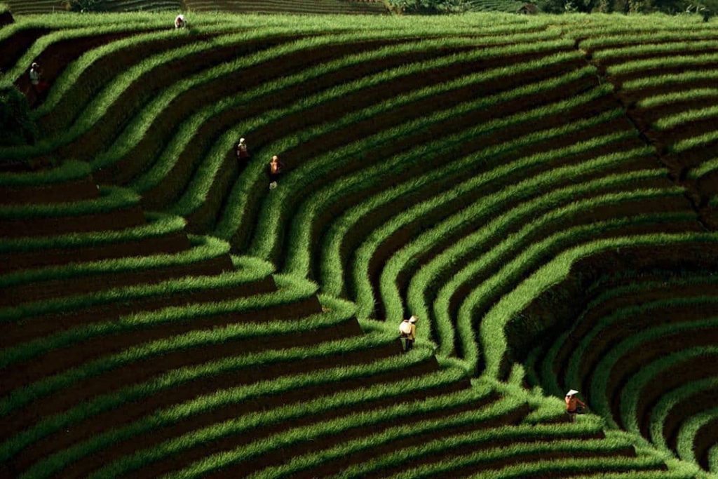 lokasi wisata terasering panyaweuyan majalengka