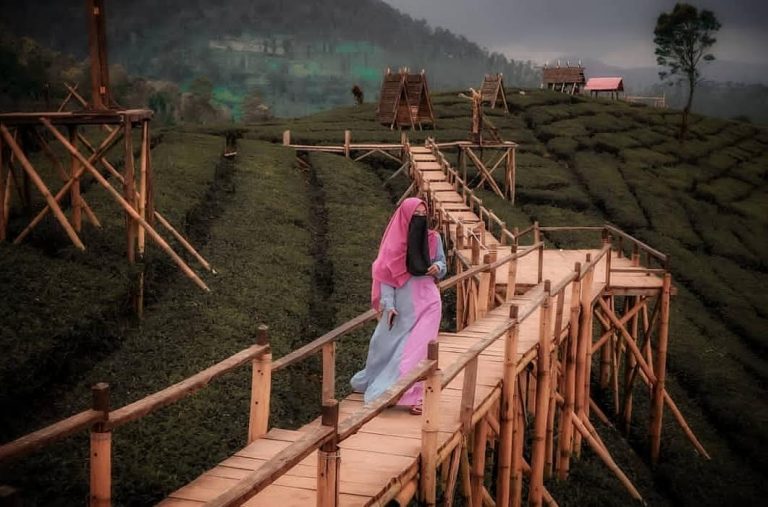 Lokasi Dan Rute Ke Wayang Windu Bike Park Pangalengan Bandung - Travel