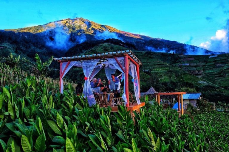 Lokasi Dan Tiket Masuk Mangli Sky View Kaliangkrik Magelang - Travelandword