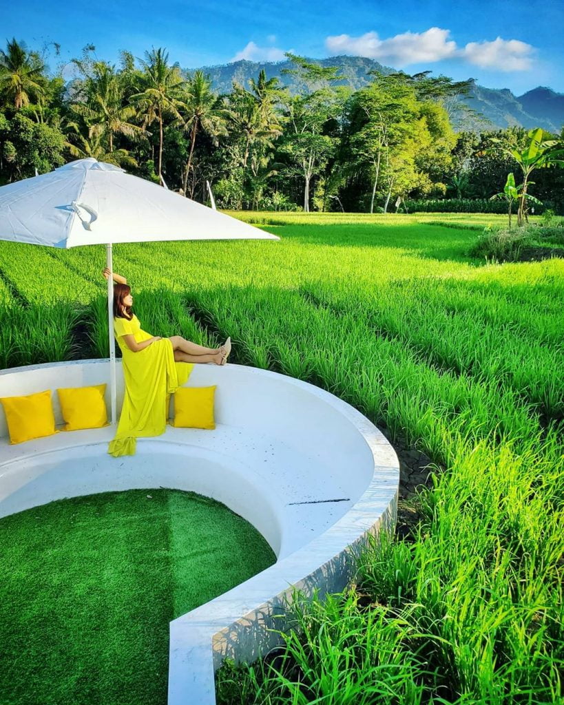 spot foto di tengah sawah magelang