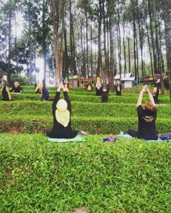 Lokasi Dan Tiket Masuk Alas Pelangi Trawas - Travel And Word