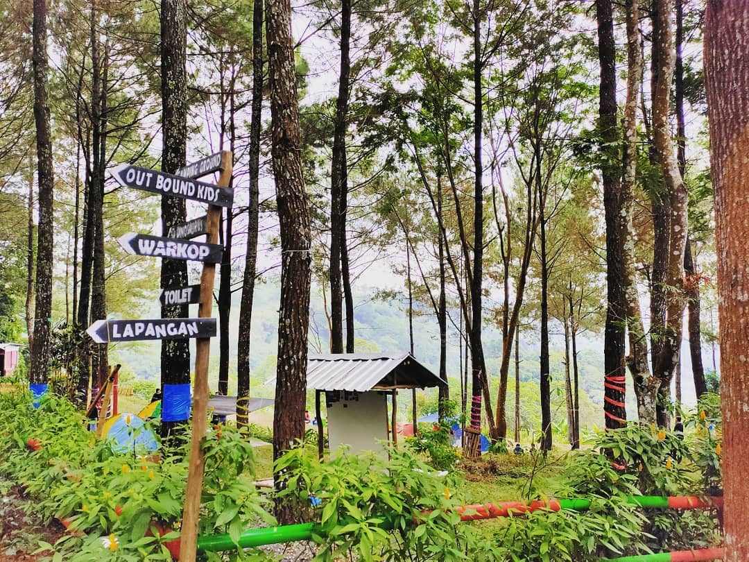 Lokasi Dan Tiket Masuk Alas Pelangi Trawas - Travel And Word