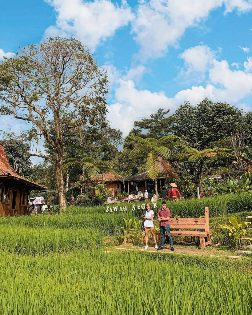 resto tengah sawah di bogor