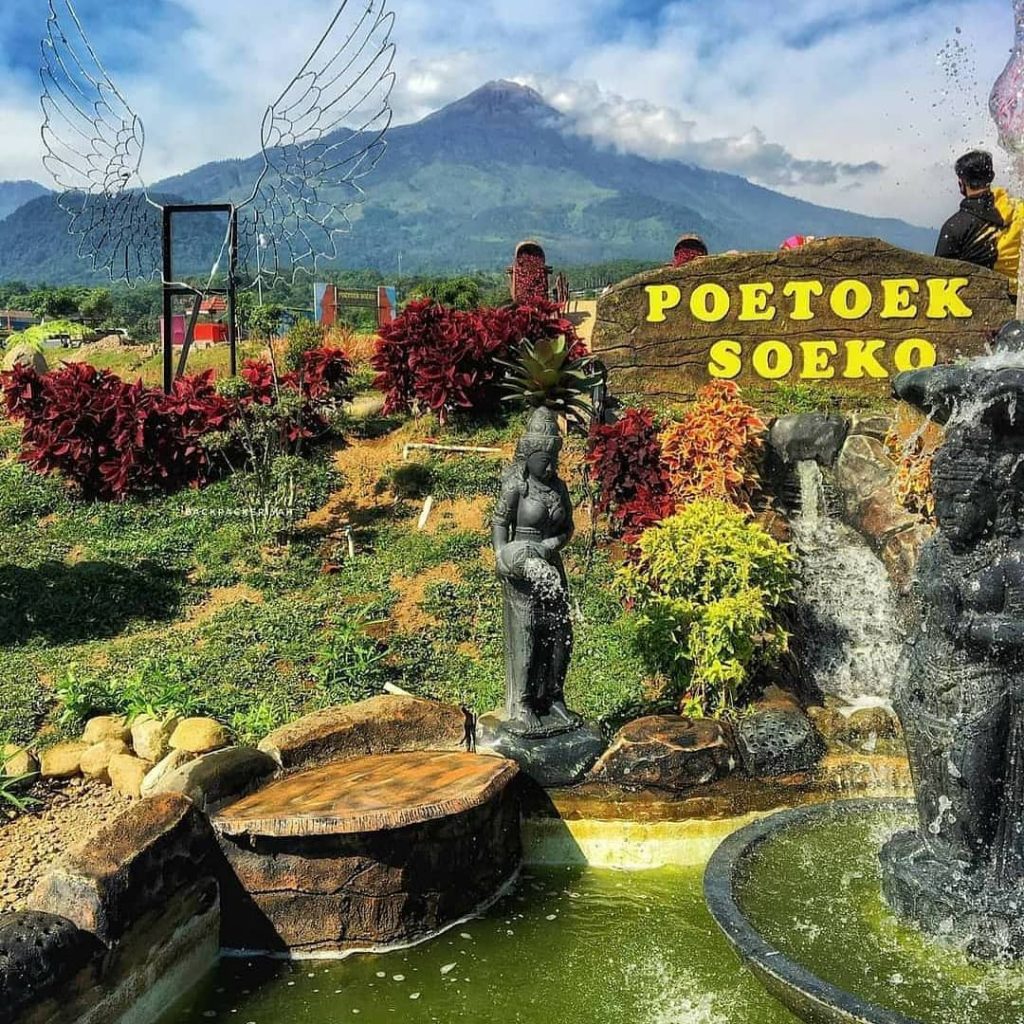 lokasi poetoek soeko trawas