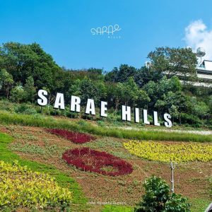 kawasan wisata sarae hills