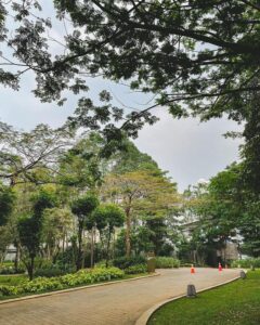 urban forest by grange park foto oleh @chubbyfoodiary