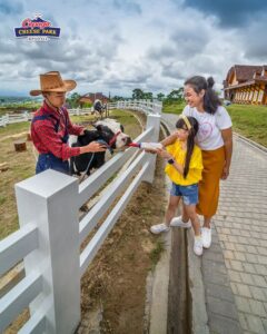 Rute Menuju Cepogo Cheese Park Boyolali