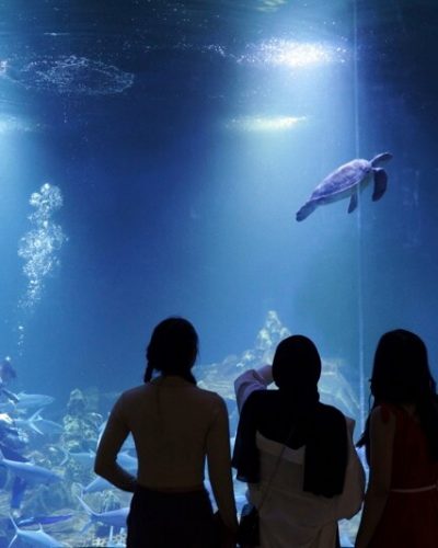 aquarium indonesia pangandaran via aquariumindonesiacom