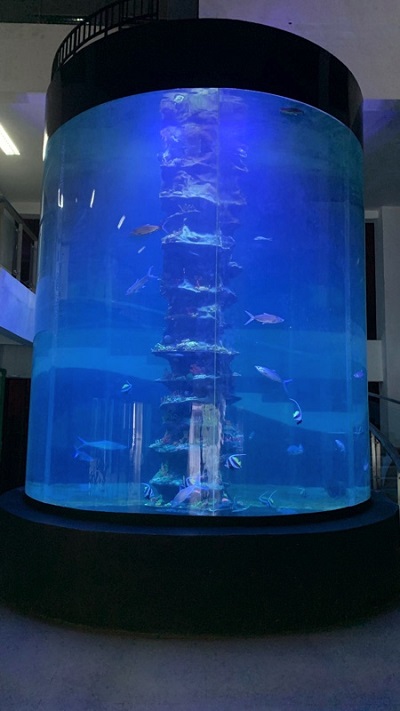 wahana cylinder tank aquarium indonesia pangandaran
