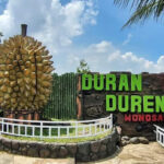 agrowisata duran duren wonosalam