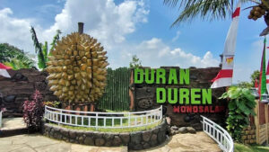 agrowisata duran duren wonosalam