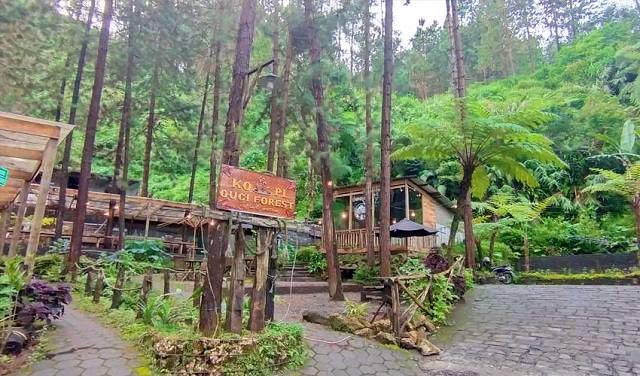 cafe guci forest