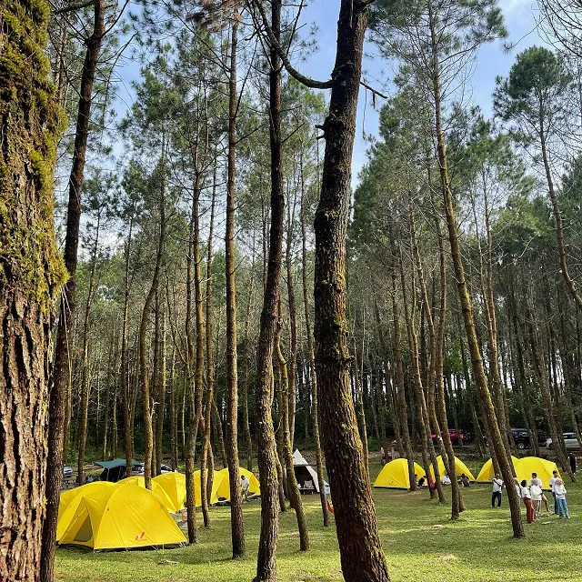 camping di tangkal pinus lembang bandung via ig @tangkalpinus