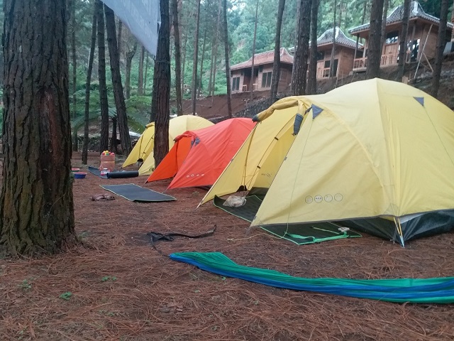camping ground via @guciforest