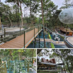 heha forest kaliurang