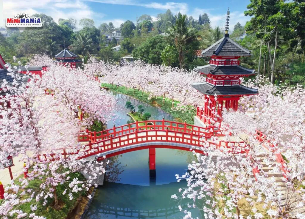 taman bunga sakura yang instagramable