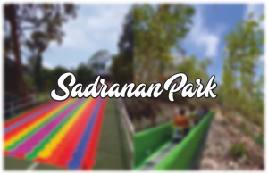 sadranan park jogja