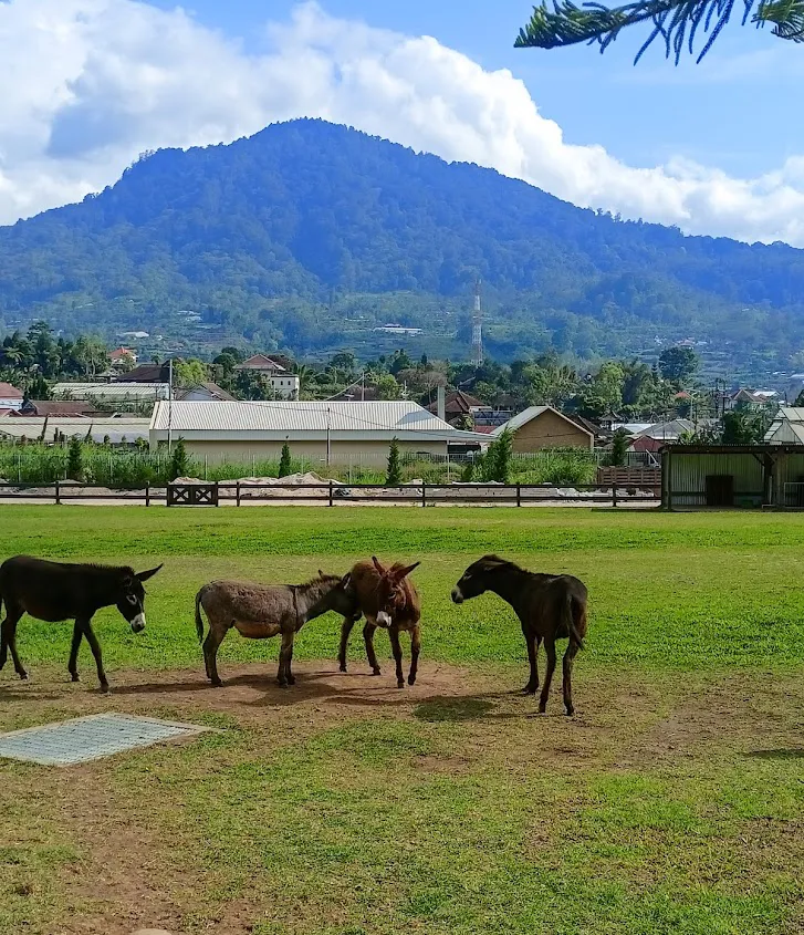 bali farm house bedugul