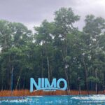 nimo water forest