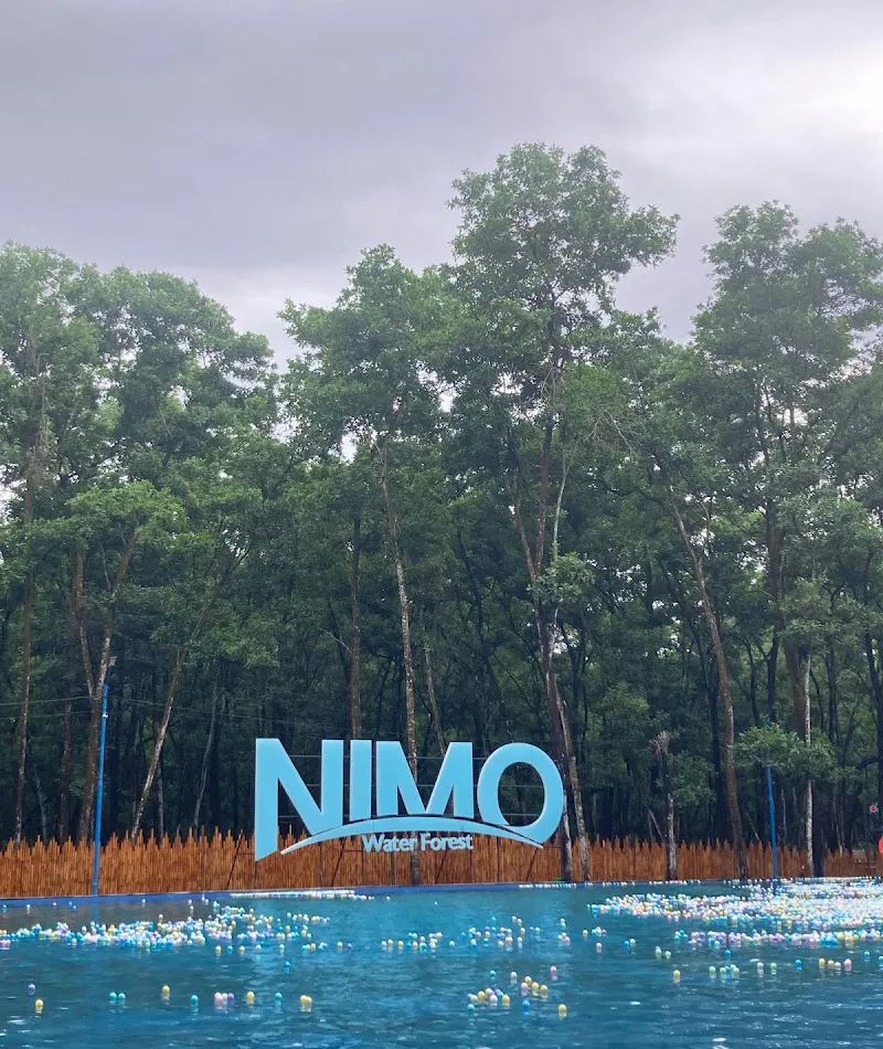 nimo water forest