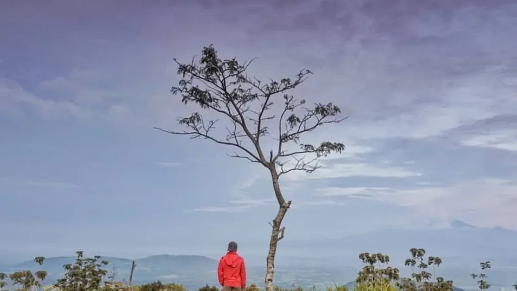 6 Fakta Menaik Gunung Blego di Magetan yang Berada di Kaki Gunung Lawu