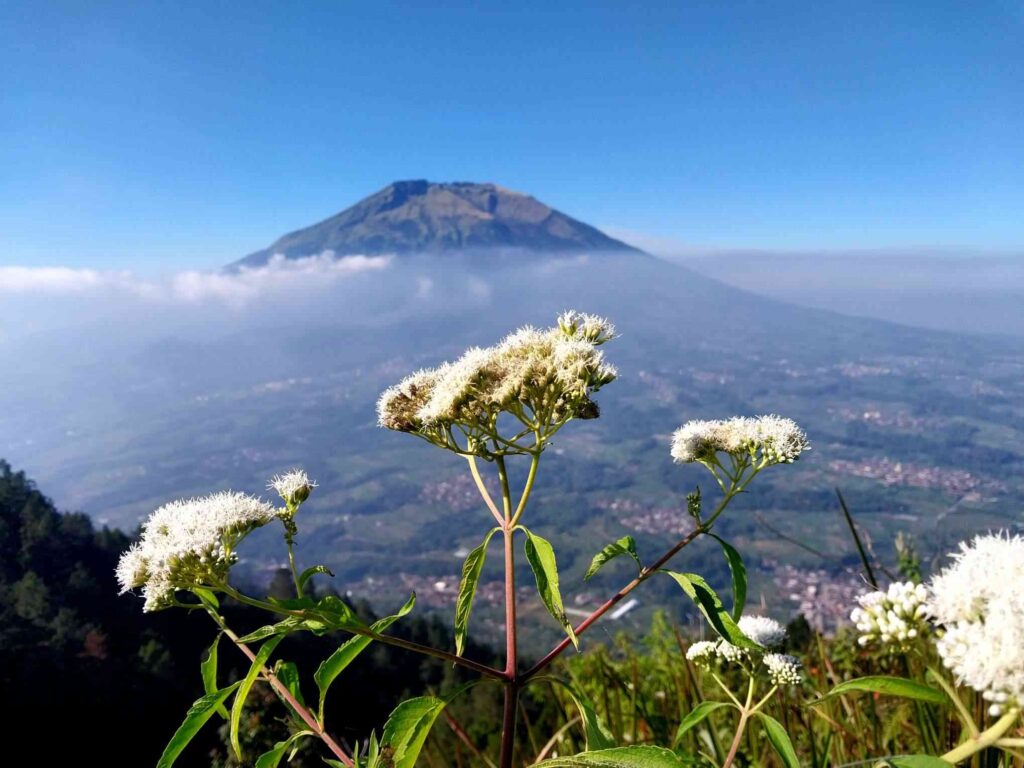 Tanpa Lautan Awan Pun, View dari Puncak Gunung Telomoyo 1.894 Mdpl Tetap Mempesona